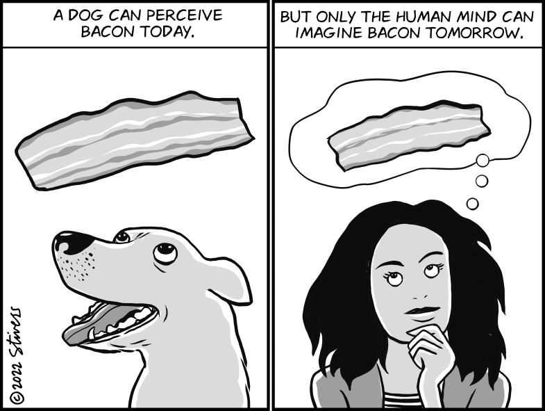 Dog and human experience of bacon